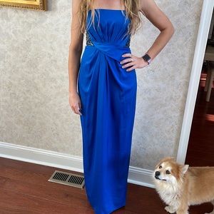 BCBG Maxazria Size 0